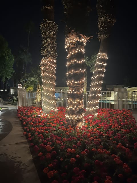 Every evening is a festive evening.