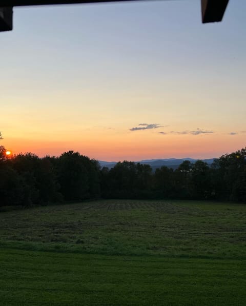 Gorgeous Sunsets