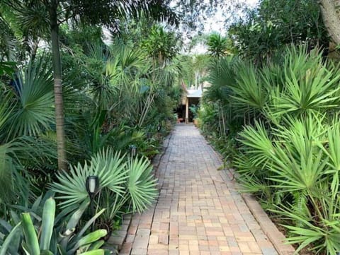 Tropical walkway to your front door