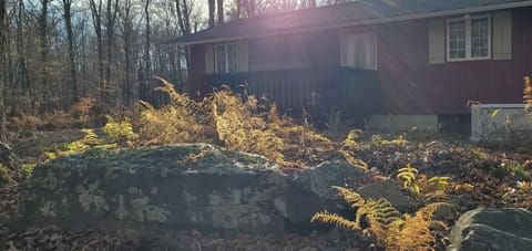 Sunset view of the back of the cabin.