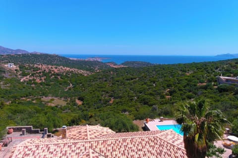 panoramic view