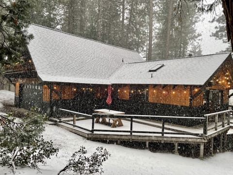 Winter at the Cabin