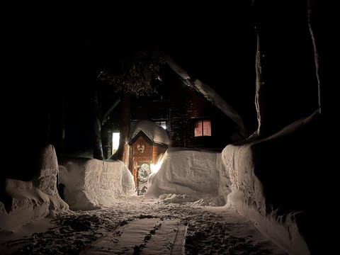 Beautiful and cozy winter cabin
