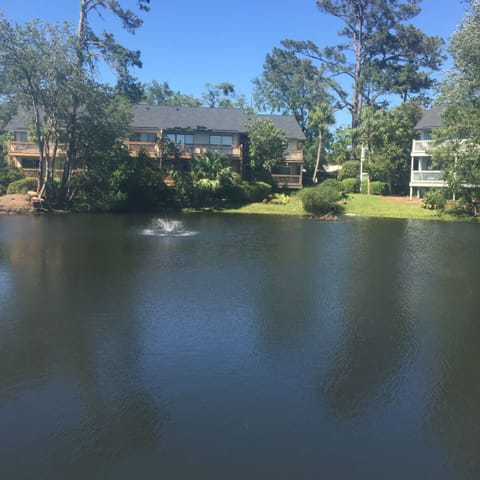 Situated on a pond stocked with turtles.