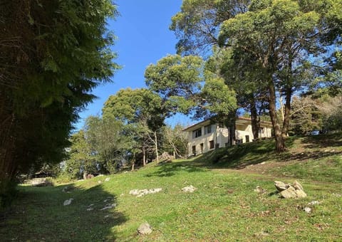 Property building,Garden,Garden view