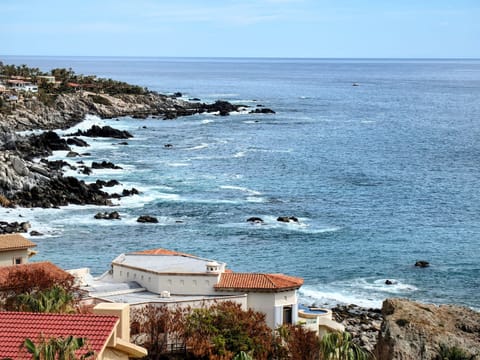 This is just part of the view from the patio.