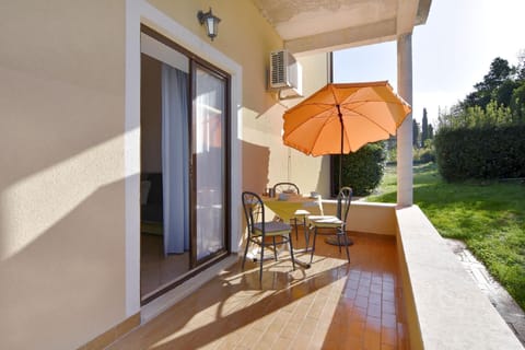 The terrace and garden