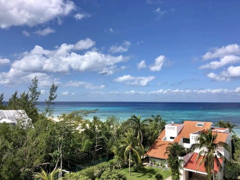 View from rooftop