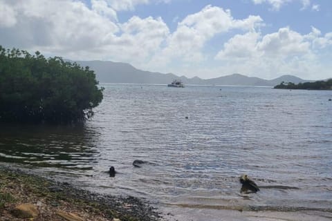 Beach
