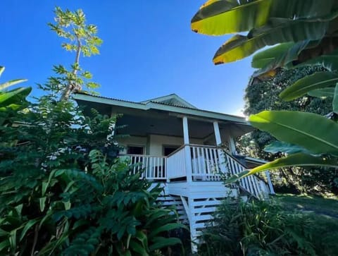 A modern plantation home in a secluded corner of our 5 acre organic farm.