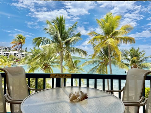 Welcome to Paradise!!  This is the view from your patio while staying at Surfside in St. Thomas!