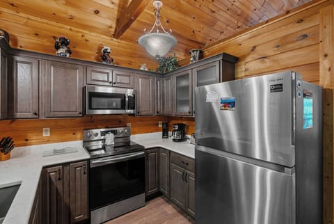 bearly-in-the-mountains-22