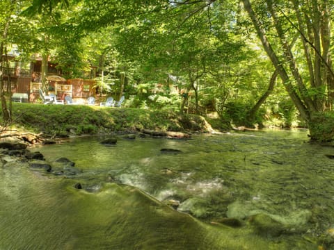 Grab your fishing poles and bait as you fish in your backyard at the Cozy Creekside Cabin Rental