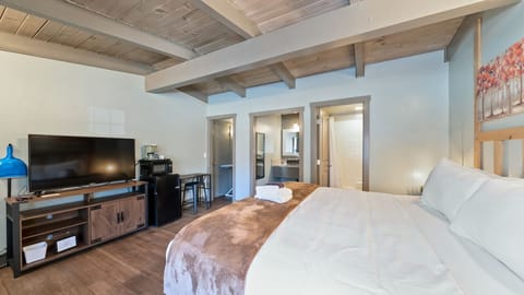 bedroom with TV and Bathroom