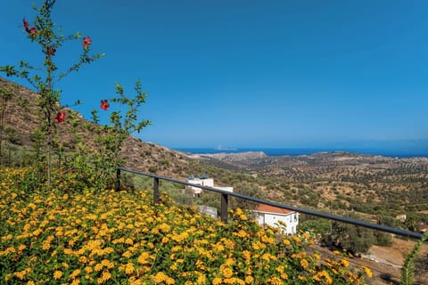 Panoramic View from the property