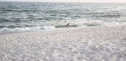 Public Beach Access – 2-minute walk
