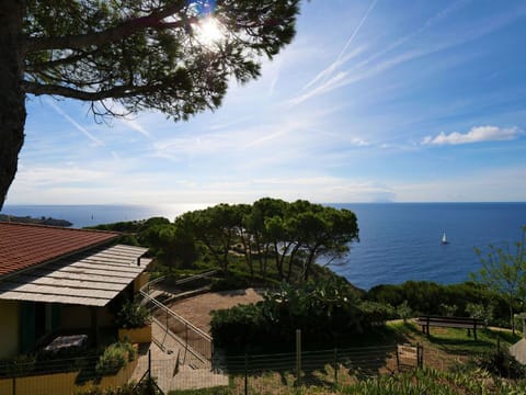 Cloud, Sky, Plant, Water, Nature, Azure, Tree, Natural Landscape, Vegetation, Sunlight