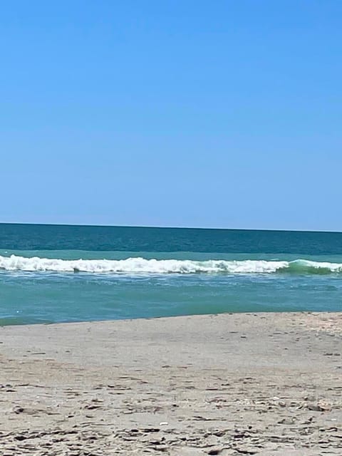 Ocean Front Condo