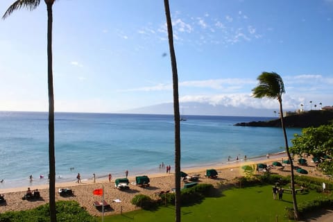 Beachfront property
