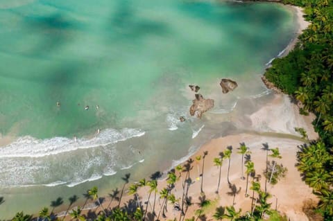 bird´s eye of playa bonita, your beach 