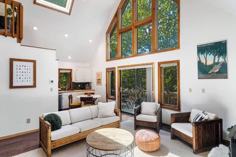 Living Room - natural light and real plants throughout for a perfect ambience