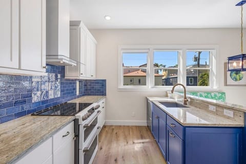 Gorgeous chef's kitchen