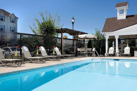 Dive into sunlit relaxation beside sparkling pool and loungers.