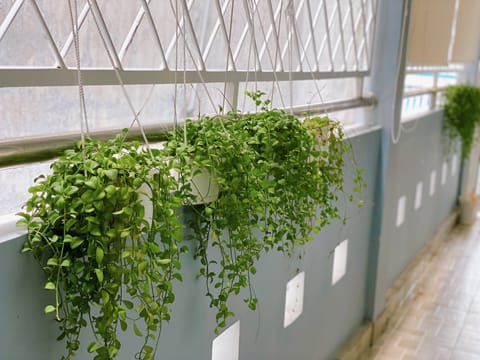 Interior detail
