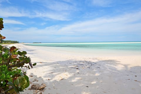 Beach just 2 minutes walk away!