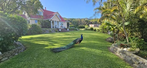 Front Lawn 