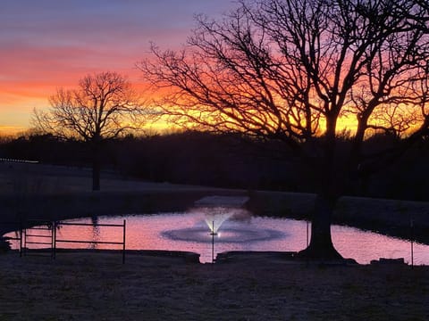 Come rest and rejuvenate in a tranquil country setting.