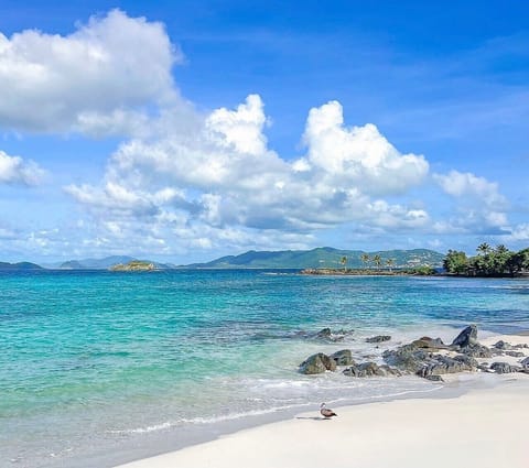 Sapphire Beach- best view on the island!