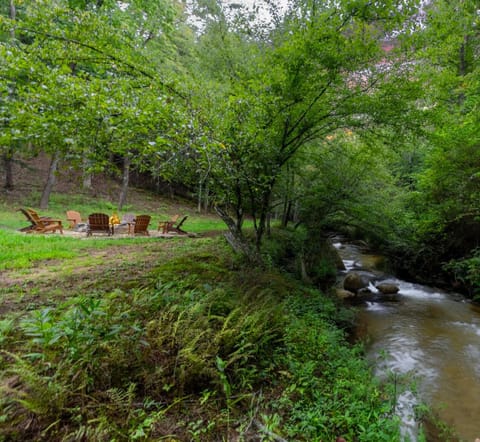 This creek is ideal for cooling off, dipping your feet, making mud pies, or letting dogs play. Scenic fishing spots are just 20 minutes away, offering the perfect outdoor escape for everyone.