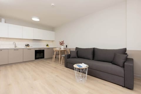 Elegant studio with a comfortable sofa and kitchenette.