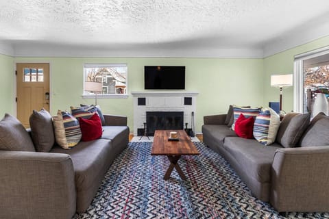 Living/sleeping combo in living room with smart tv and wood-burning fireplace