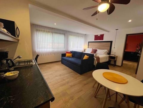 King bedroom with kitchenette and sofa bed