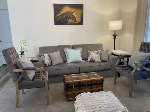 Living / TV area