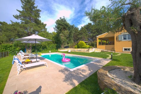 Let the children splash in Spyrelia%27s pool%2E