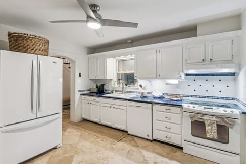 Sea Lyon Around - Electric Appliances