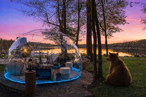 Featuring our Lakeside GeoDome with comfy seating and views of the night sky 