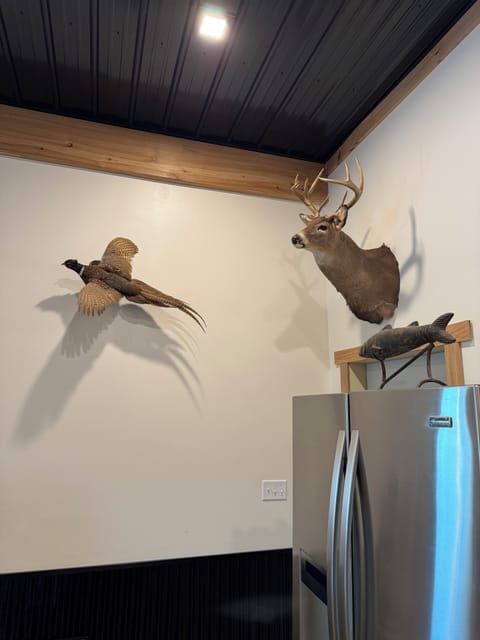 Michigan made mounts