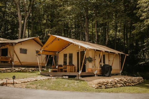 8aa7c036-b96f-40c5-9ab1-c09557a9c477