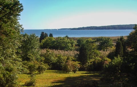 View of the bay from the house