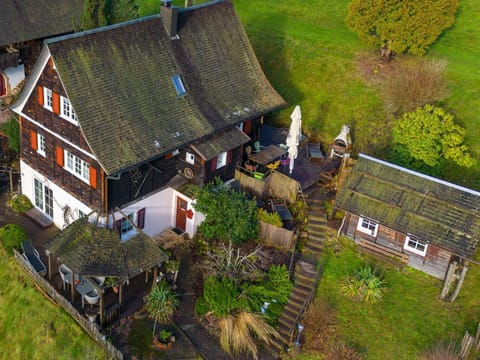 Pure nature - forest edge location