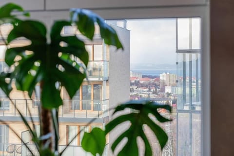 View from the apartment of the surrounding area.