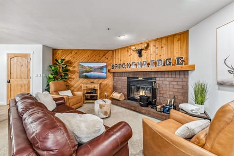 Living room: Smart TV with cable, wood-burning fireplace, sleeper sofa, central heat, no A/C