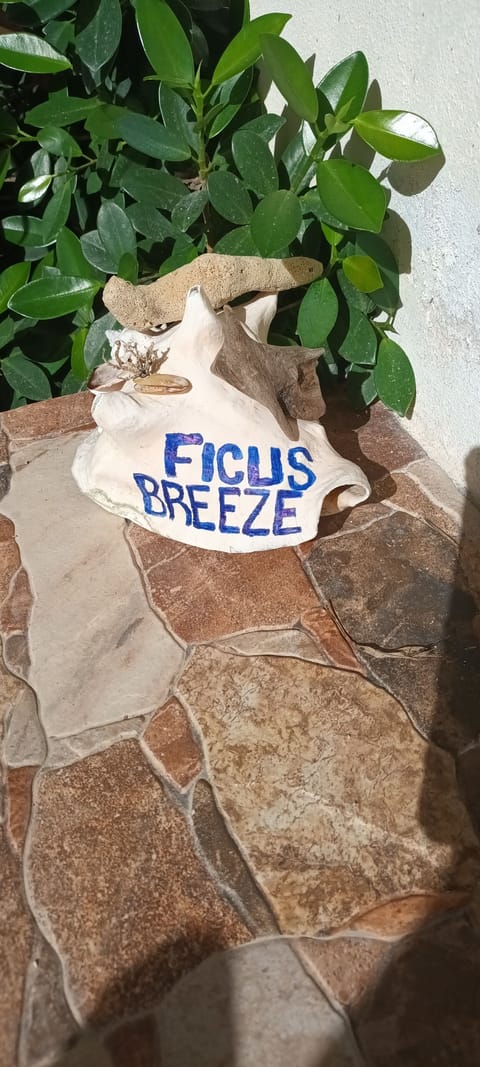Welcome to Ficus Breeze!