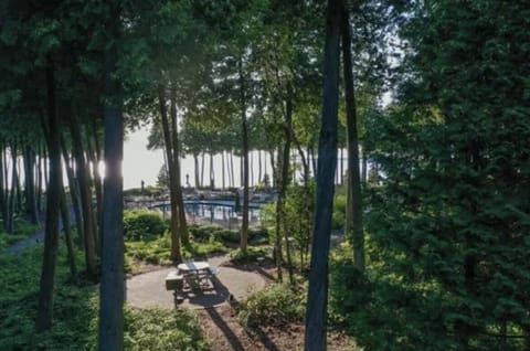 Pool, eating area with grills, fishing dock & great sun sets