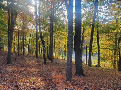 View of lake from the front porch