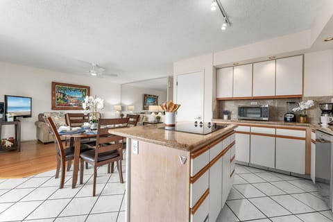 Countertop stove - no oven